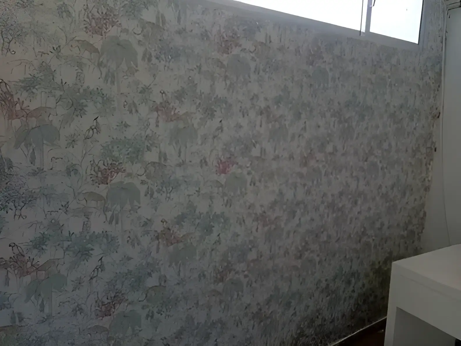 Los Pintores Cáceres colocando papel pintado decorativo en pared completa de habitación